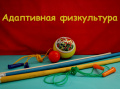 «Социализация детей с ОВЗ средствами адаптивной физкультуры»