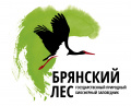 Заповедник «Брянский лес»