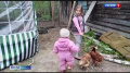 Жители Брянщины начали подавать заявления, чтобы получить единовременные выплаты на детей
